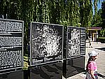 DSCN3320.jpg