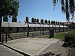 DSCN3325.jpg