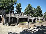 DSCN3338.jpg