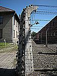DSCN3361.jpg