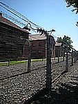 DSCN3363.jpg