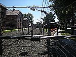 DSCN3366.jpg