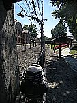 DSCN3367.jpg
