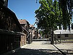 DSCN3370.jpg