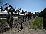 DSCN3375.jpg
